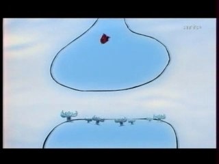 Drogues et cerveau - Cannabis - part1