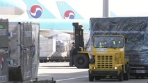 짐 두고 떠난 비행기...인천공항 2터미널 첫날 잇단 사고 / YTN