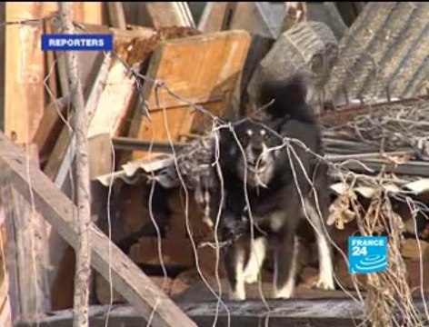 Avant Qu israel n existe