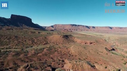 Etats-Unis : Un aigle attaque et détruit un drone (vidéo)