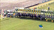 H25　11/9 2歳未勝利　⑤ゼウスバローズ　京都 芝2000m 【競馬】