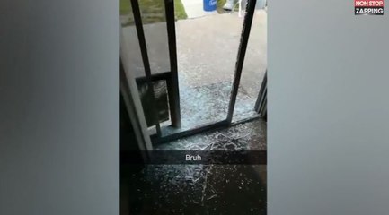 Un chien surexcité détruit une baie vitrée en jouant à la balle (vidéo)