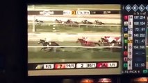Gambling  horse racing  Vic DiBitetto