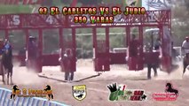 Terrible Accidente en Carreras de Caballos | 2016 |