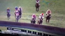 Horse Racing Accident - Horse Collides with Spectators
