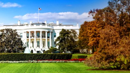 A divided US grows further apart after Trump's first year