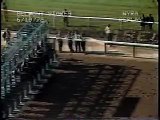 Affirmed - 1978 Belmont Stakes