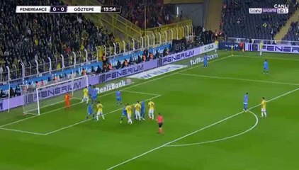 Fernandao Goal HD - Fenerbahce	1-0	Goztepe 20.01.2018