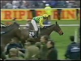 Abandoned Grand National 1993 BBC Highlights Horse Racing