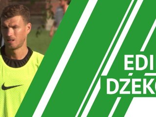 Edin Dzeko - player profile
