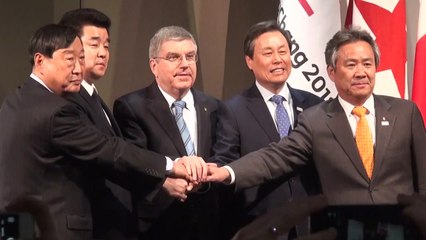 북한 선수단 46명 확정...아이스하키 단일팀에 12명 가세 / YTN