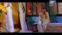 Shiza - Episode 06 on Ary Zindagi in High Quality - 20th January 2018