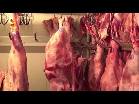 360Grade - Greta - Mishi derrit dhe I pules I infektuar