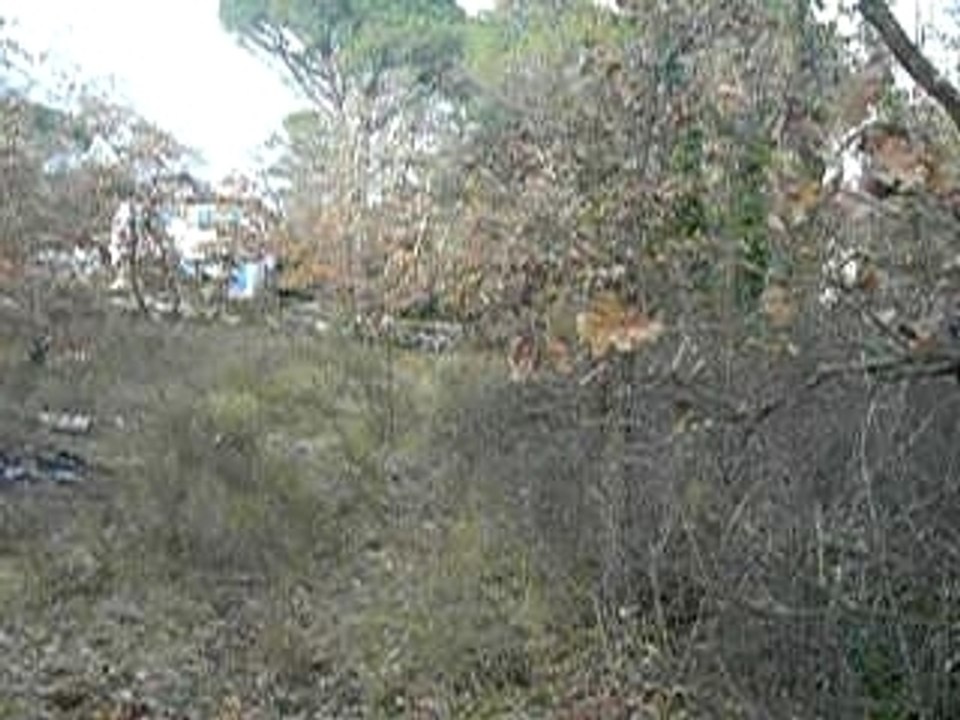 Saut au fond du jardin