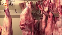 360Grade - Greta - Mishi derrit dhe I pules I infektuar