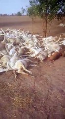 Li métina ndeyesane