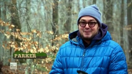 Fat Guys In The Woods S01 E08