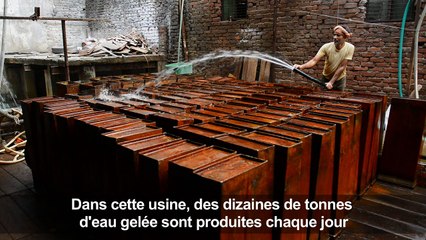 Inde: l'artisanale production de glaçons pour rafraîchir Delhi