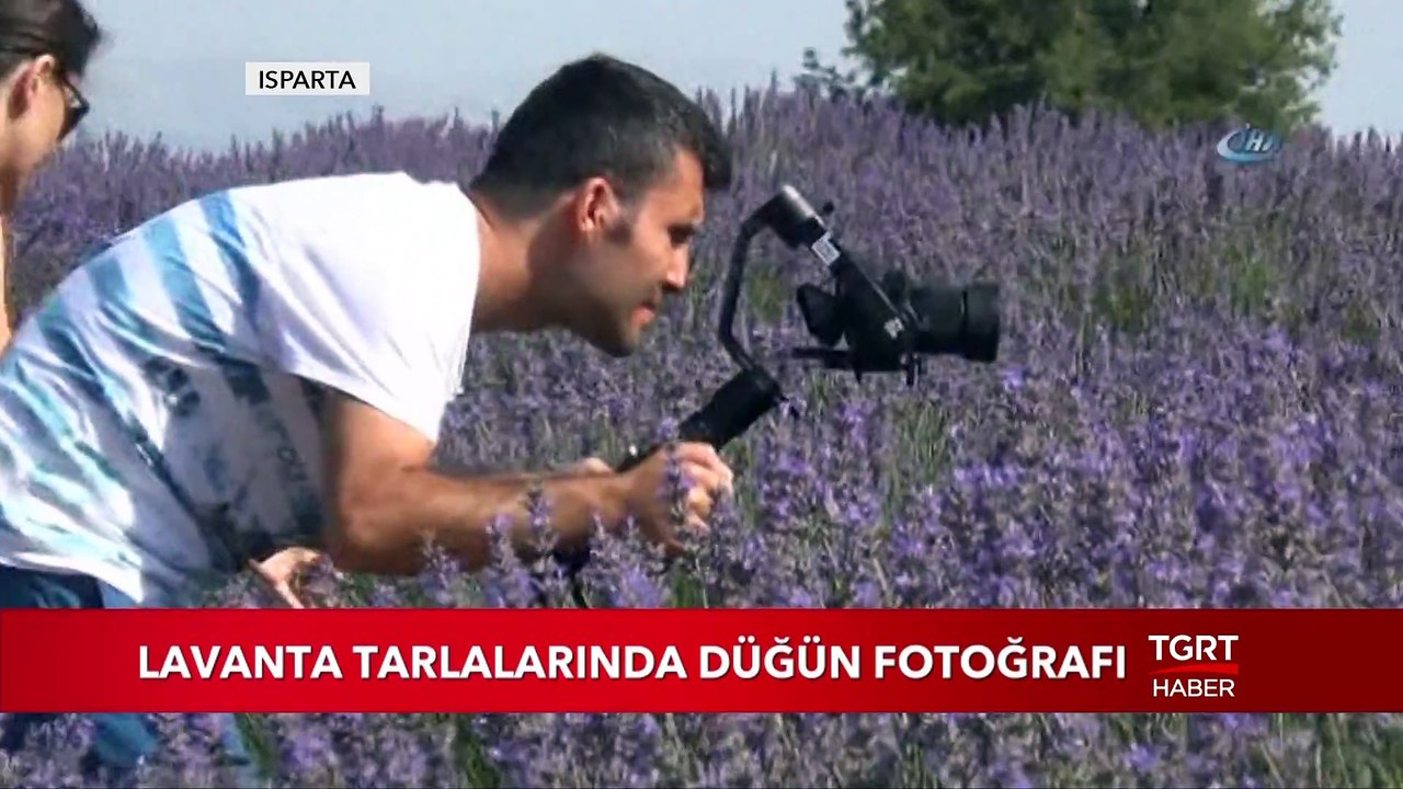 Gelin Ve Damatların Fotoğraf Çekimi İçin Yeni Tercihi Artık Lavanta Bahçeleri