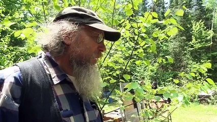 Backroad Bounty S01 E03