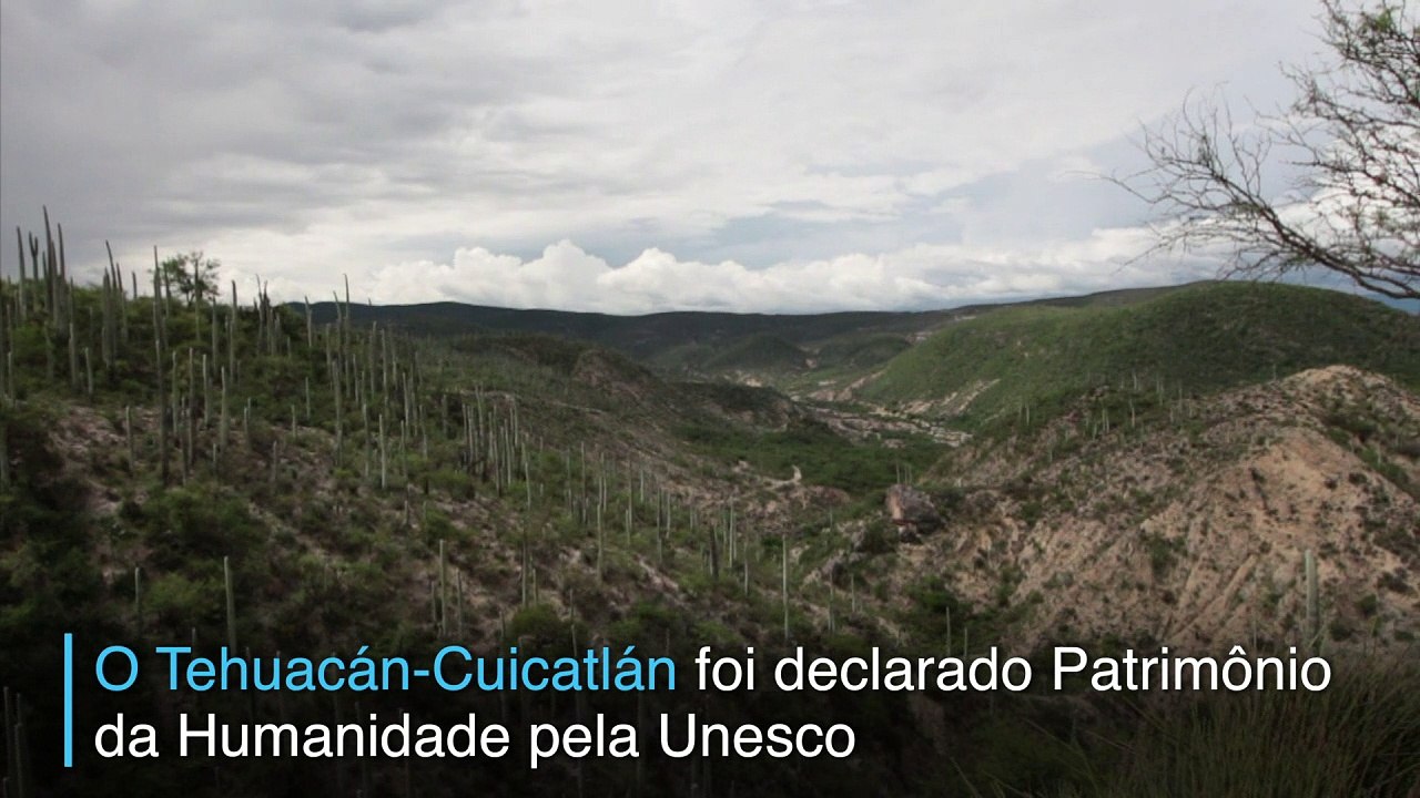 Um legado natural