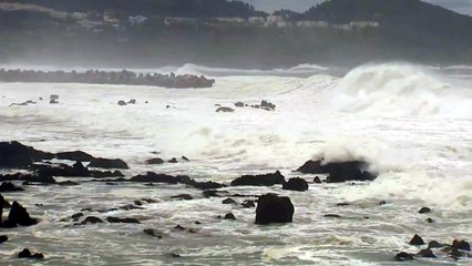 '쁘라삐룬' 북상...정오쯤 제주에 최근접 / YTN