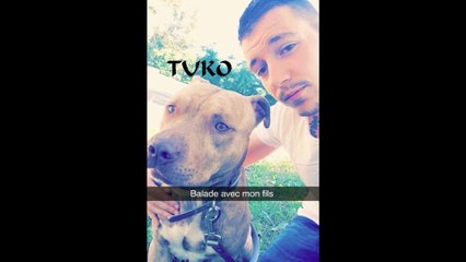 Planet Dog Staff et Pit & Friends