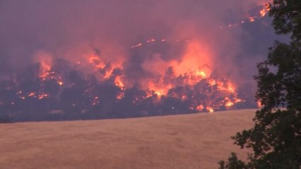 유명 와인산지 美 나파밸리 또 대형산불 위협 / YTN