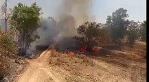 الإعلام العبري: 5 حرائق مندلعة الان في الأراضي المحتلة شرق غزة بفعل البالونات الحارقة.