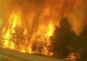Trees Burn on Highway 160 as Spring Creek Fire Rages