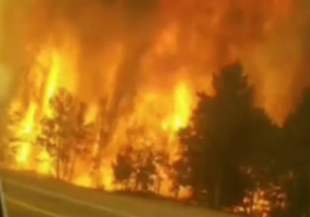 Trees Burn on Highway 160 as Spring Creek Fire Rages
