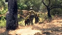 California blaze stretches firefighters, residents