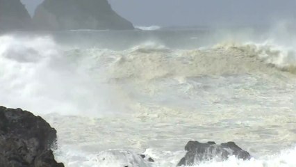 [태풍 경로] '쁘라삐룬' 북상...제주에 강풍·높은 파도 / YTN
