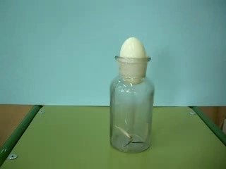 Presion Atmos. en un Huevo