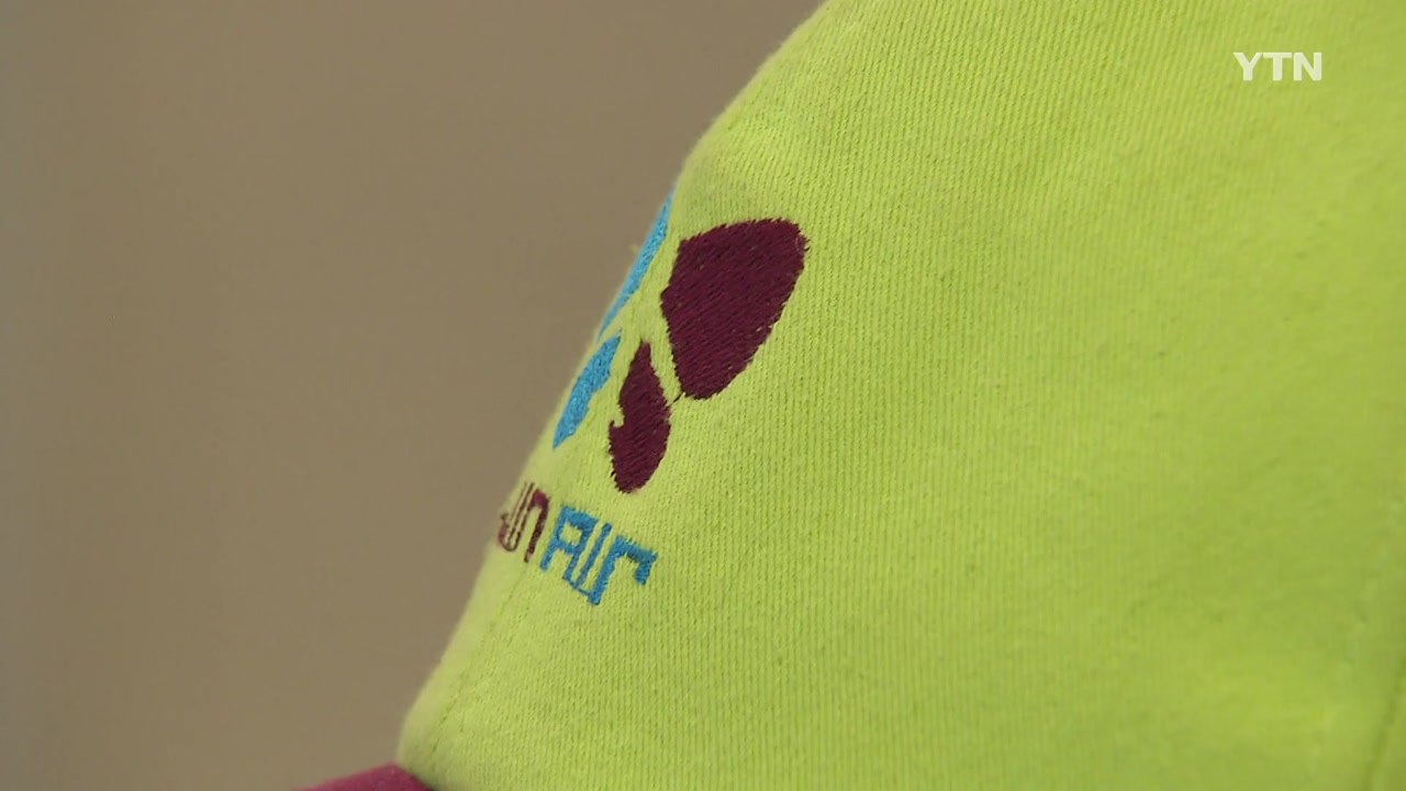 '면허 취소 검토' 진에어, 대규모 신입채용 논란 / YTN