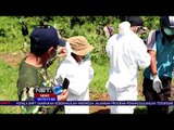 Gajah Betina di Temukan Mati di Pemukiman warga NET24