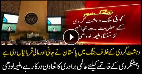 Maleeha urges world to recognize Pakistan’s contribution & sacrifices in war against terrorism
