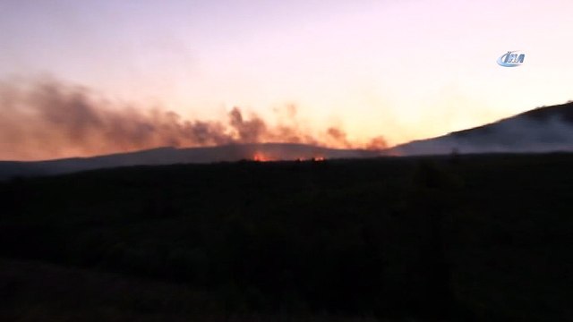 Aydos Ormanı'nda yangın