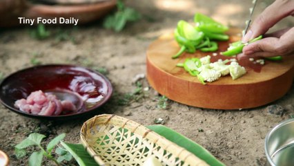 Tiny Food Daily  Bell Peppers With Pork  Ep01