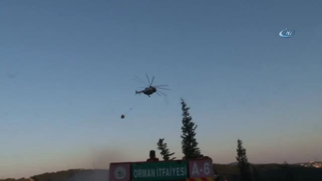 Aydos Ormanı'nda Yangın... Çok Sayıda İtfaiye Ekibi Yangına Müdahale Ediyor