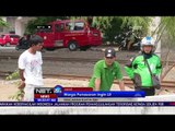 Buaya di Kali Grogol Gegerkan Warga-NET24