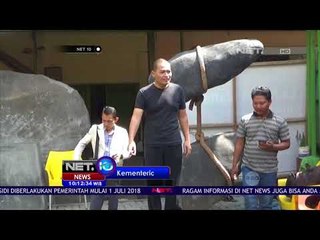 Kolektor Enggan Serahkan Arapaima Kecuali Diambil Menteri KKP - NET10