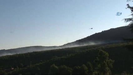 Aydos Ormanları'nda Korkutan Yangın