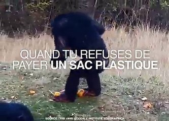 Quand tu refuses de payer un sac plastique à 5 centimes au supermarché Via The Jane Goodall Institute South Africa