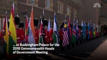 Queen Elizabeth Welcomes Commonwealth Leaders To Palace And Tips Charles As Successor _ NBC News
