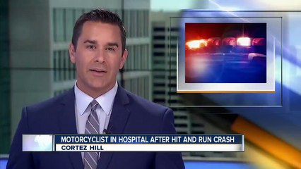 5-Year Old Colorado Girl Attacked in Her Backyard by a Bear