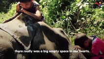This compassionate little boy loves helping his mom rescue elephants — and they just met a very special one who needs their help ❤️