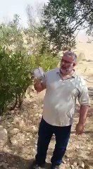 What happens if we Shoot 5 H.D together