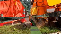 Cheapest stump removal & Grinding Murrysville - (724) 213-2984