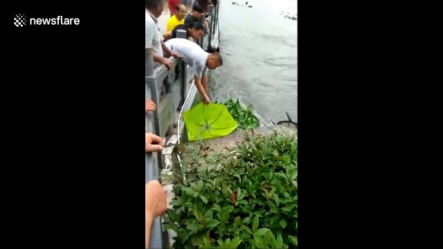 Citizens use umbrellas to catch fish that leap out of lake